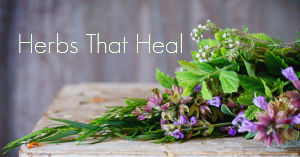 5 Ways Herbs Can Heal Your Body