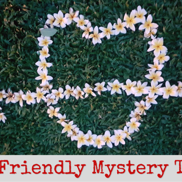 What’s My Diet Friendly Mystery Treat? My Review!