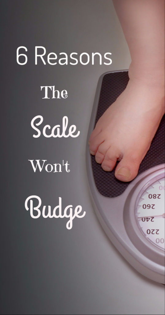 Six Reasons Why Your Scale Won't Budge