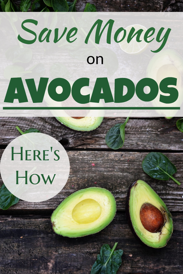 Save ,money on avocados -grocery saving tips for cheap avocado meals, cheap avocado toast, and cheap avocado recipes. Save money on healthy food and save money on healthy groceries. Avocado can become a cheap superfood for cheap superfood recipes. Read my secrets for cheap healthy eating. #avocado # superfoods 